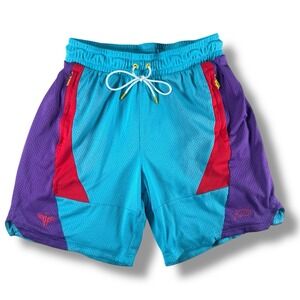 Puma X LaMelo‎ Ball Slashing Shorts Blue Mens Medium Blue Red Purple Basketball